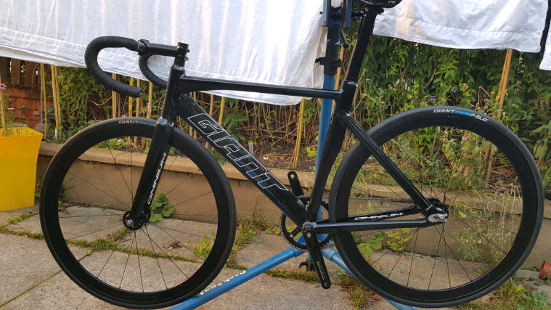 giant omnium 2019